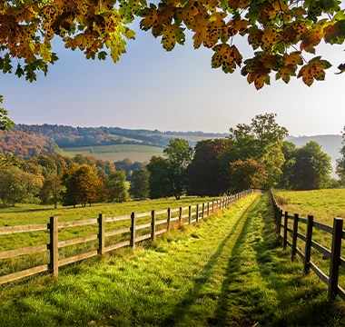 Cote campagne